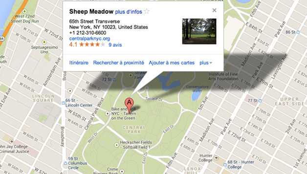 Visiter Central Park : Sheap Meadow
